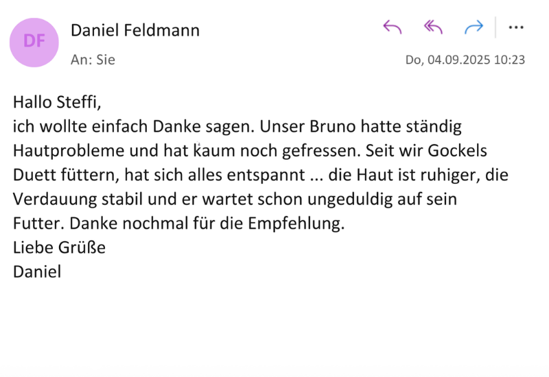 Anifit E-Mail Testimonial 1